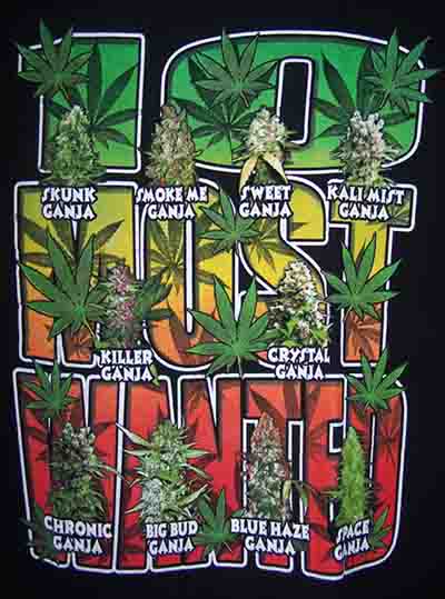 10 Most Wanted Marijuana Weed Pot Cannabis  T SHIRT