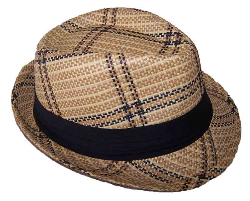 Fedora Trilby  HATs For Kids - Plaid Design