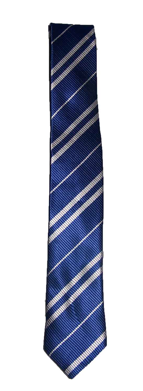 HARRY POTTER Neck Tie HOGWARTS Gryffindor House: Ravenclaw Tie