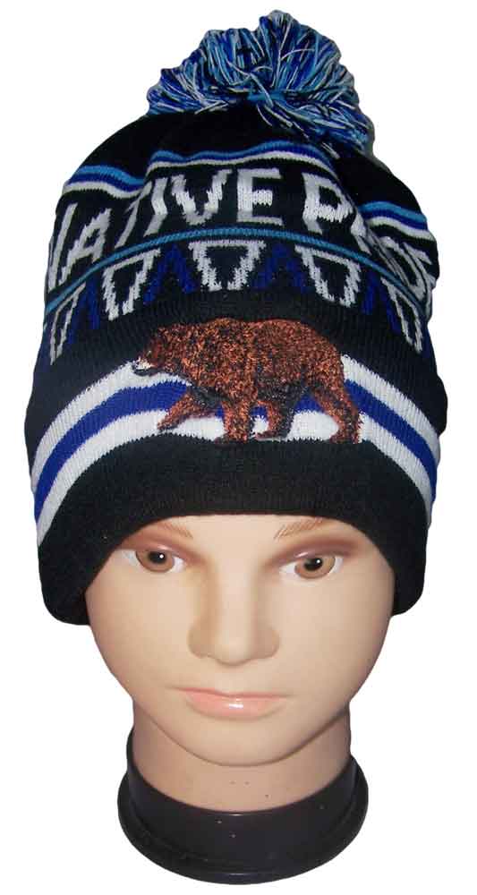 Native Pride Embroidered Beanies Winter Caps - BEAR