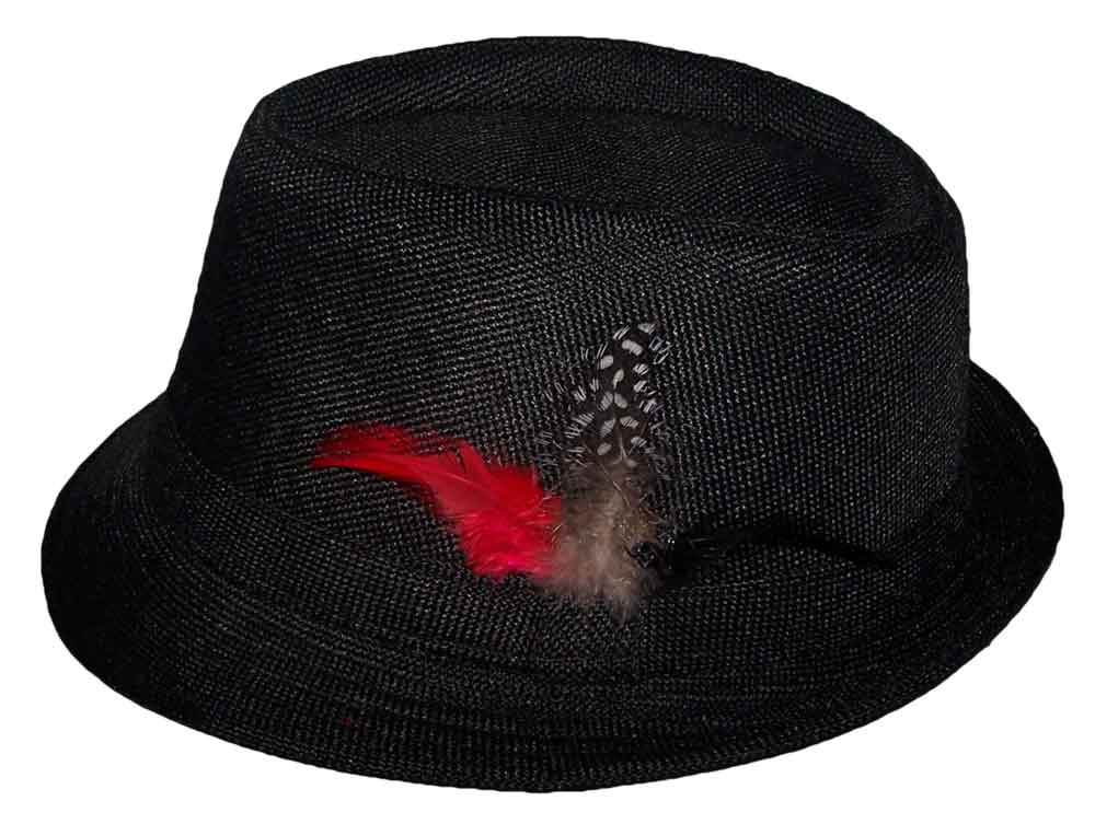 Fedora Trilby HATs -Adult  HATs  - Black w/ Feathers