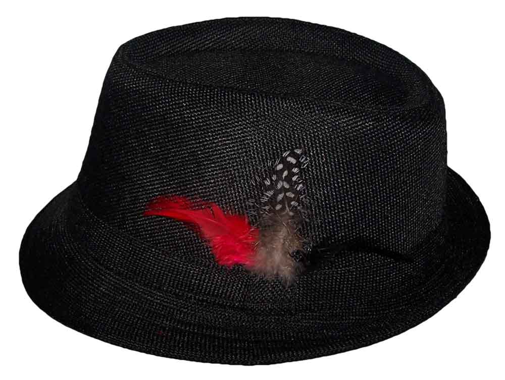 Fedora Trilby HATS -Adult  HATS  - Black w/ Feathers