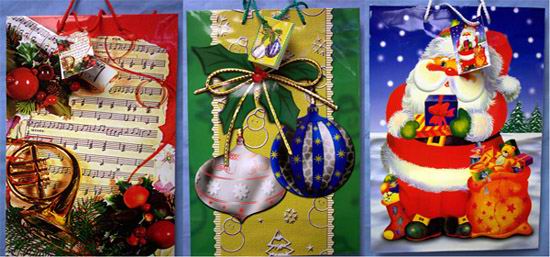 Gift Bags  - CHRISTMAS    - (Size: Medium)