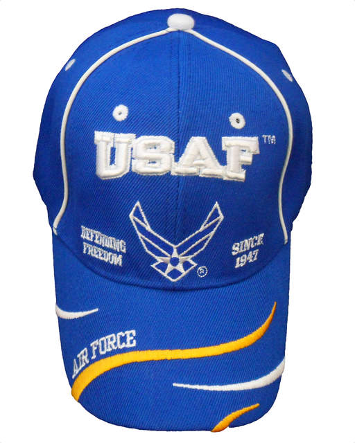 USAF Logo Defend Freedom CAP