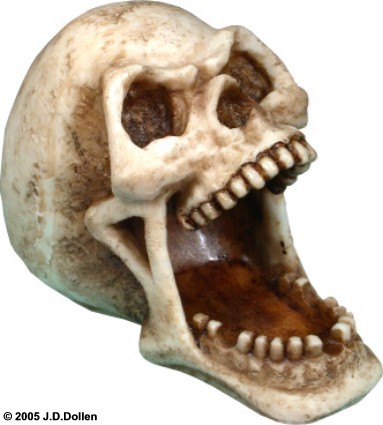 Menacing Skull: Open Mouth Ashtray / Candy-Coin Dish