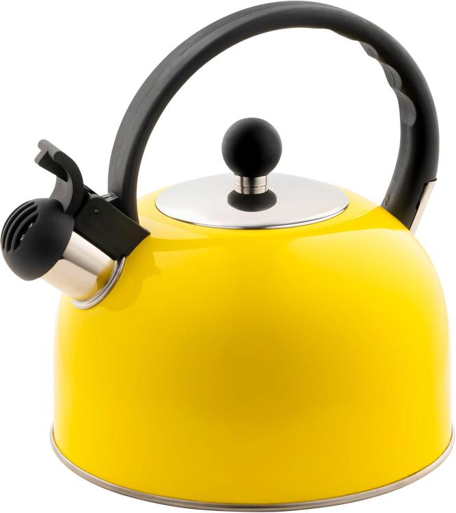 2.5 Liter Whistling Tea Kettle - Modern Stainless Steel Whistling