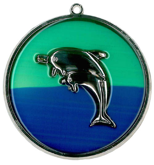 Dolphin Silver Suncatcher (CLOSEOUT)