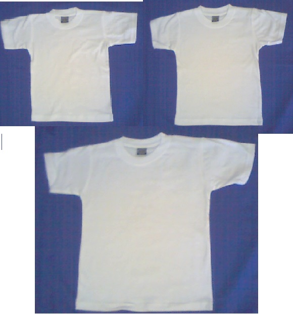 Blank Toddler Shirts Mixed Case