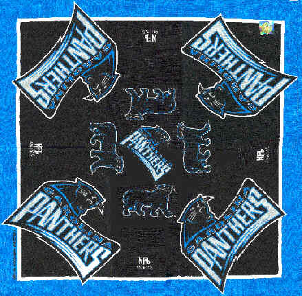 NFL Bandana