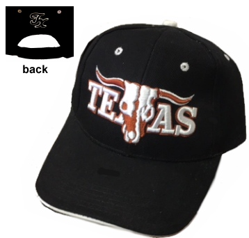 Texas Embroidered Twill CAP