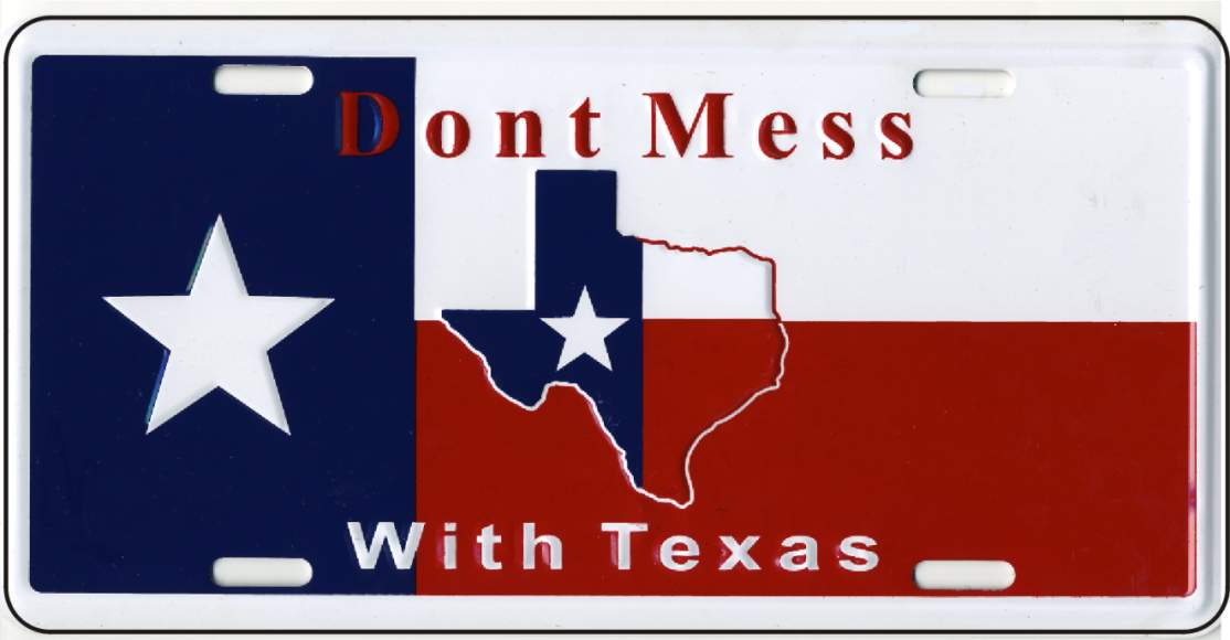 Texas Metal LICENSE PLATE