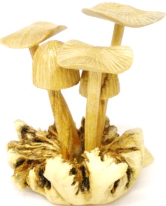 Carved Root Mushroom