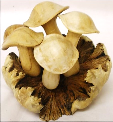 Carved Root Mushroom