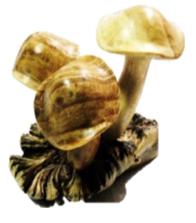 Carved Root Mushroom