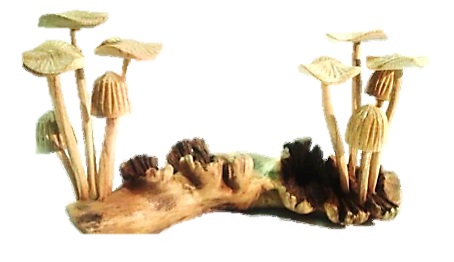 Carved Root Mushroom