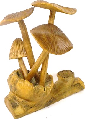 Carved Root Mushroom