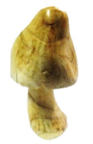 Carved Root Mushroom