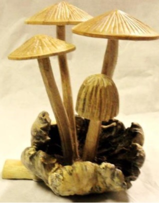 Carved Root Mushroom