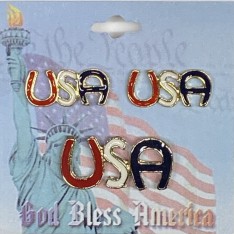 USA Scripted Pin & Pierced Earring Duo Set
