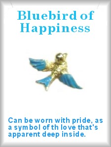 Bluebird of HappINess INspirational  PIN