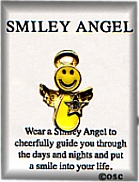 Smiley Angel BIRTHSTONE Star Pin